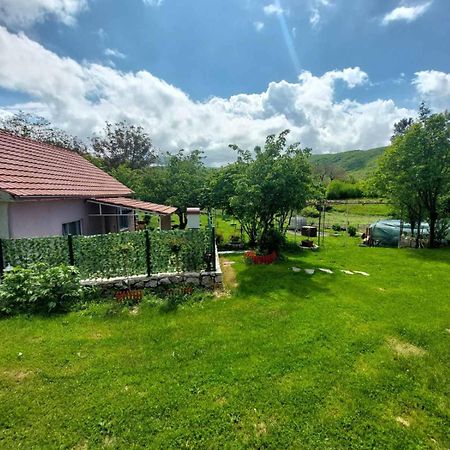 Village Flower Ivy Montenegro Nikšić Buitenkant foto