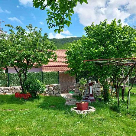 Village Flower Ivy Montenegro Nikšić Buitenkant foto