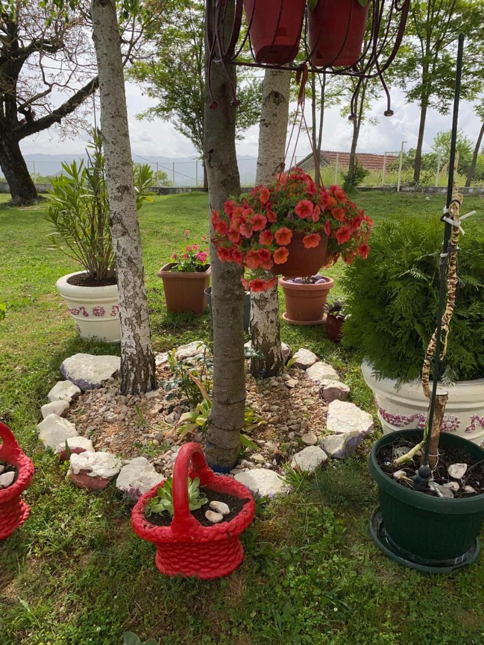Village Flower Ivy Montenegro Nikšić Buitenkant foto
