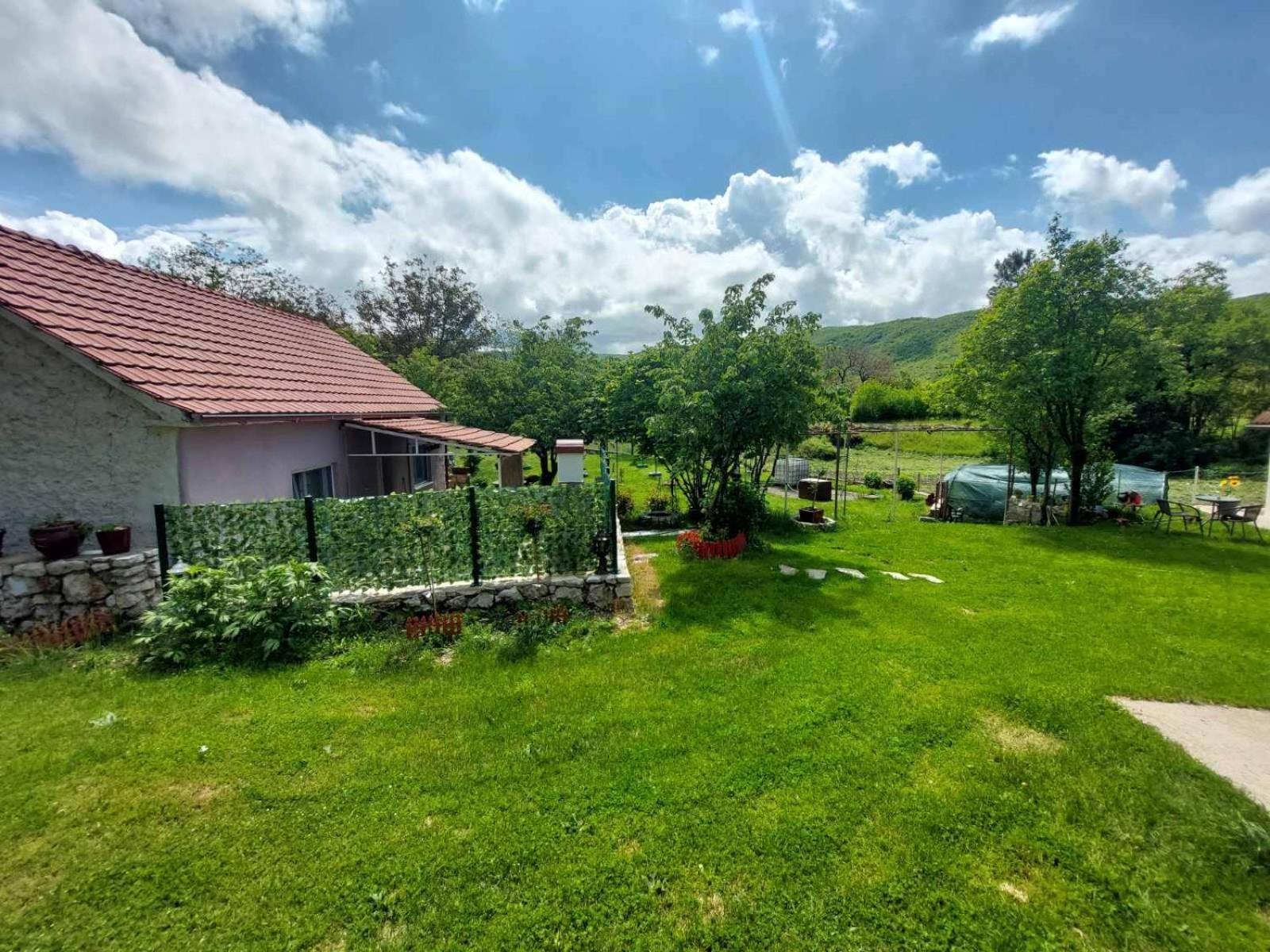 Village Flower Ivy Montenegro Nikšić Buitenkant foto