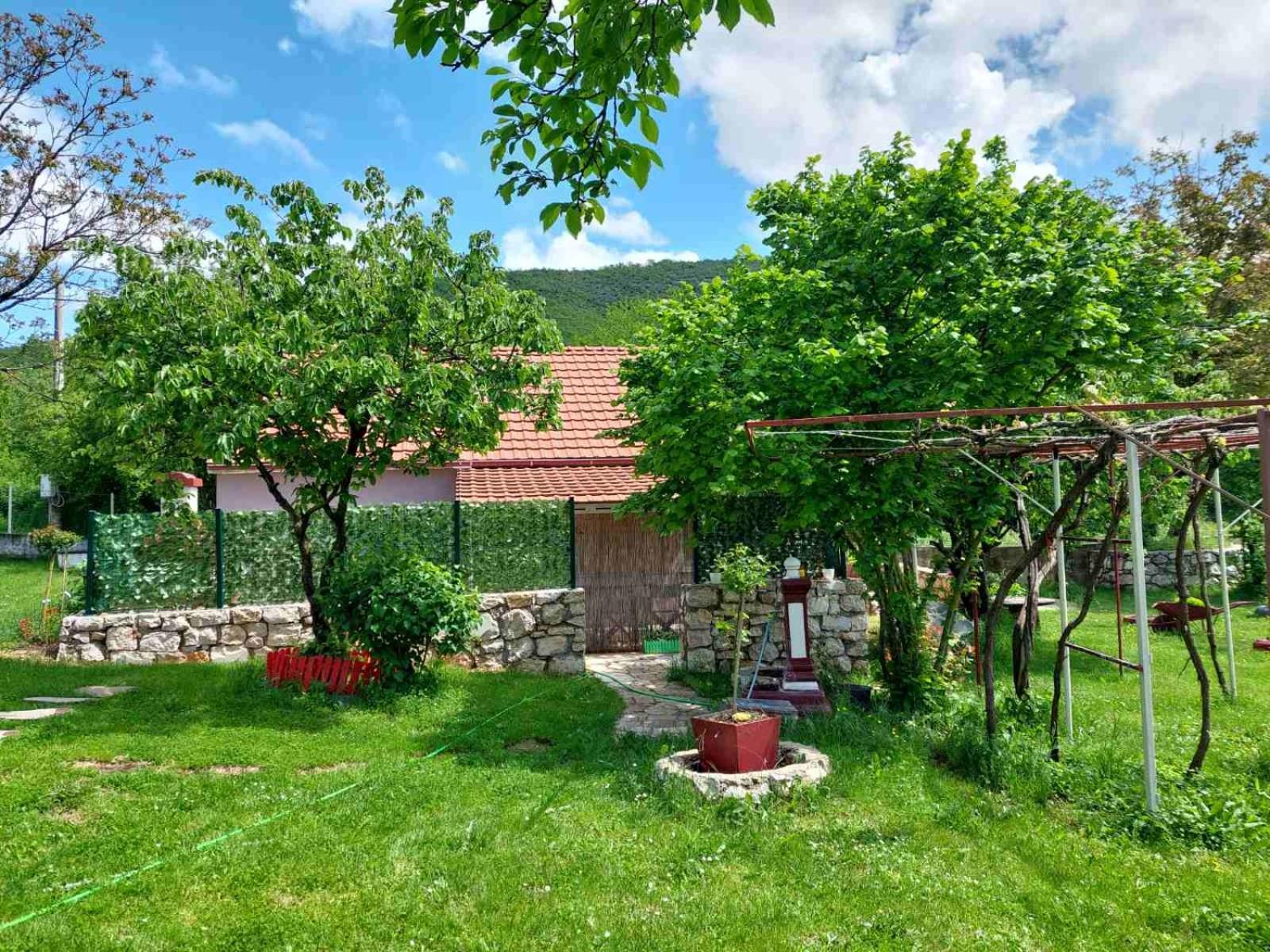 Village Flower Ivy Montenegro Nikšić Buitenkant foto